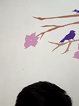 DavidVergagigante420 online show from 11.22.25