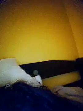 EAAM1xh online show from 01.08.26