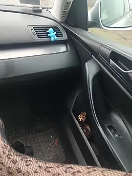 MiriandZacki online show from 12.21.25