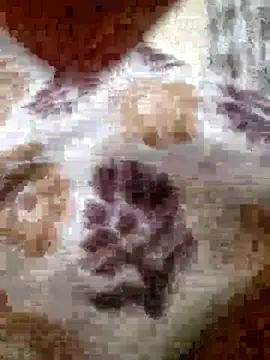 Snapshot of roshankakol chatting on 11.21.25 roshankakol online show from 11.21.25