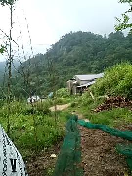 keobong-00 online show from 09.14.25