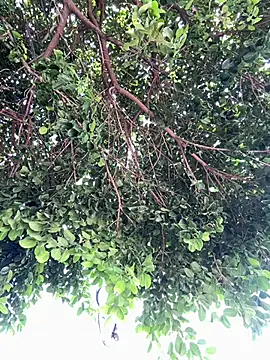 Snapshot of Boy_hot- chatting on 02.20.26 Boy hot- online show from 02.20.26