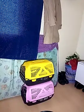 Snapshot of kittymutant99 chatting on 12.22.25 kittymutant99 online show from 12.22.25