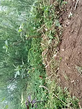 kemtuoi-sex online show from 04.19.26