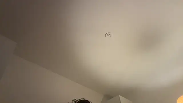 Swedishfish69 online show from 02.08.26