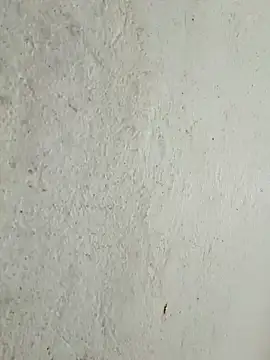 kata-00 online show from 03.15.26