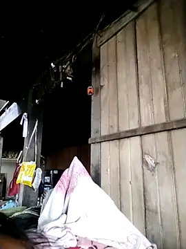 Samdim23 online show from 10.02.25