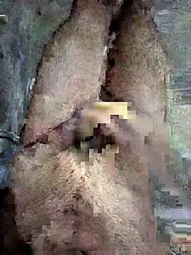 Snapshot of ash706339 chatting on 09.19.25 ash706339 online show from 09.19.25