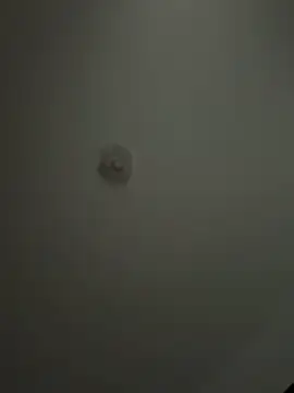 Andrestarr online show from 04.02.26