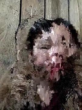 bonnie-00 online show from 11.15.25