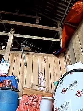 bonnie-00 online show from 02.15.26