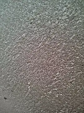 bold guy 1234 online show from 03.30.26