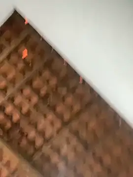 Snapshot of Milenvs chatting on 03.05.26 Milenvs online show from 03.05.26