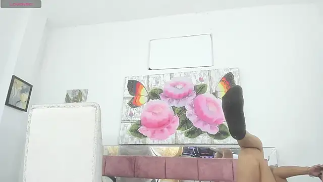 barbie ds online show from 11.21.25