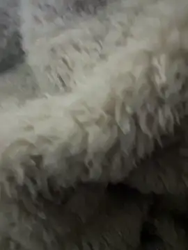 futsam653 online show from 11.12.25