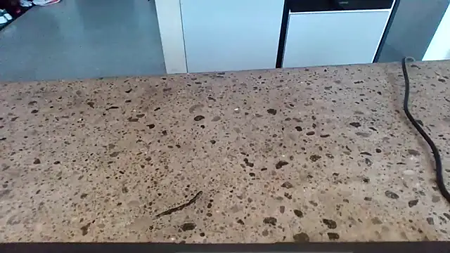 Snapshot of cruelworldxxx chatting on 02.14.26 cruelworldxxx online show from 02.14.26