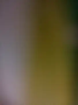 Snapshot of tulipsexy chatting on 02.19.26 tulipsexy online show from 02.19.26