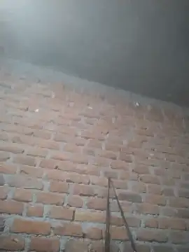 Hott cutgirl online show from 12.15.25