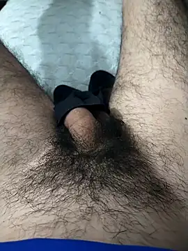 Mizo200 online show from 11.08.25