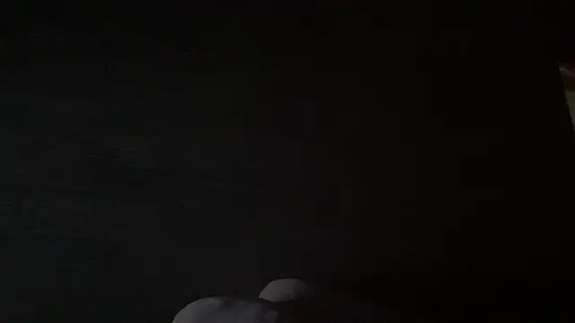 owliecat online show from 06.14.26