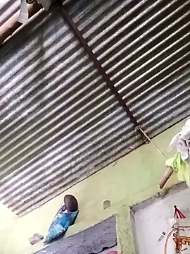 Haliya88 online show from 03.24.26