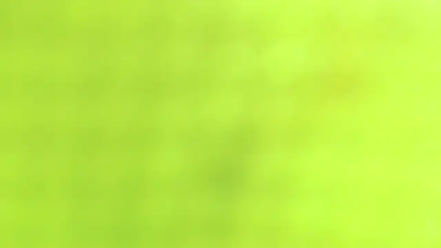 AnySugar online show from 09.23.25