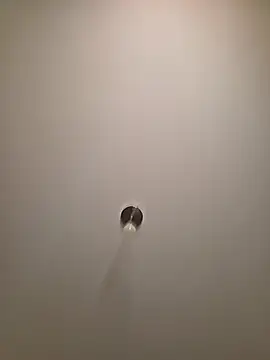 brunettebabexo3 online show from 02.12.26