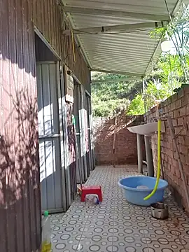 Helen-Tran online show from 11.26.25