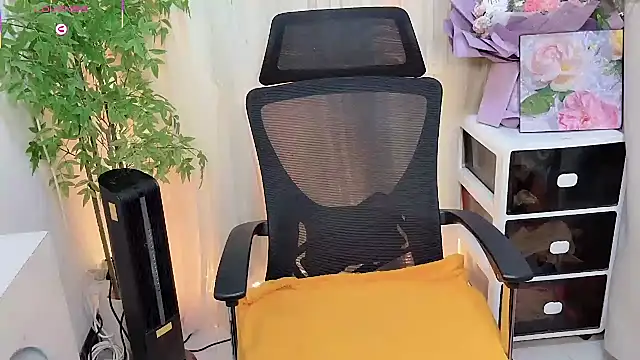 NEWONETO online show from 02.04.26