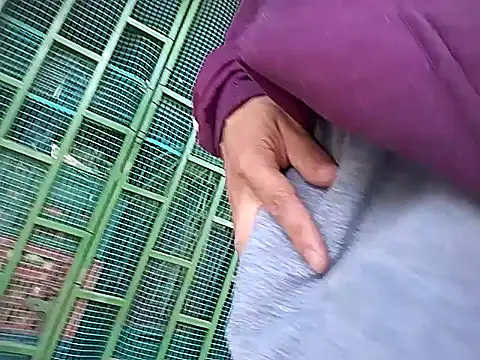 Angel 3-0 online show from 11.02.25