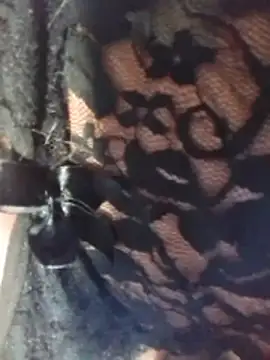 misteriosabb000 online show from 03.17.26