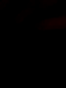 nagepalli online show from 11.11.25