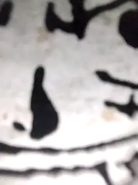 PEEHU-50 online show from 11.21.25