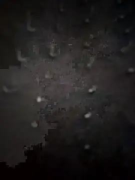 PEEHU-50 online show from 01.13.26