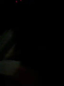 Snapshot of ayrtonmen chatting on 02.17.26 ayrtonmen online show from 02.17.26