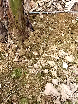 Sikici0734 online show from 02.24.26