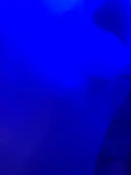 Dammianmiller online show from 02.24.26