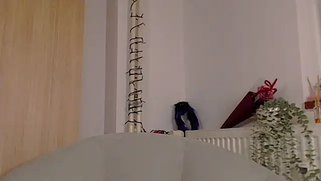 adacgrey online show from 02.20.26