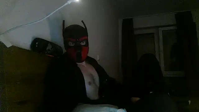 MolleDolle online show from 12.03.25