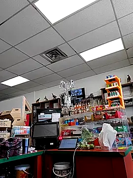 Cassaroll333 online show from 11.30.25