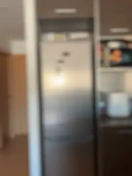 dulcemarianh  online show from 02.19.26