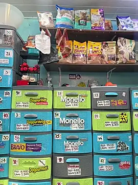 Lucy 699 online show from 02.25.26