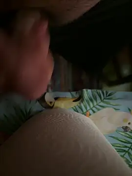 smallcock10cm online show from 02.04.26