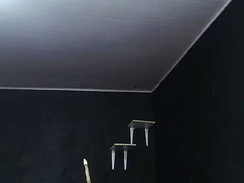 Snapshot of Liastark chatting on 11.30.25 Liastark online show from 11.30.25