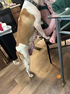 Mustbethemoney1234 online show from 04.06.26