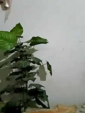 Jessica-03 online show from 03.05.26