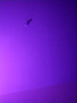 checheludo23 online show from 04.16.26