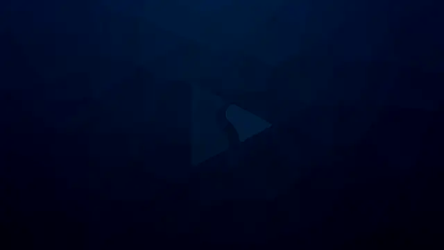 bull419M online show from 02.26.26