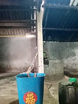 Myzak- online show from 03.01.26