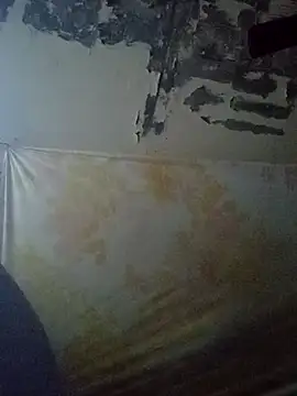 Cogelonregio online show from 10.27.25